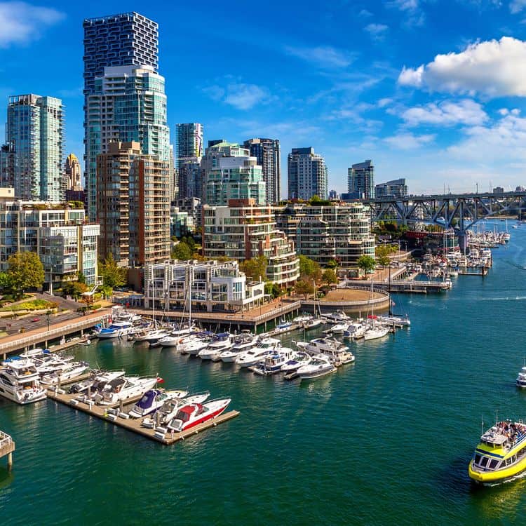 An elevated view of boats in a marina